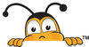 BeeLook