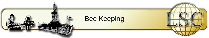 Bee Keeping